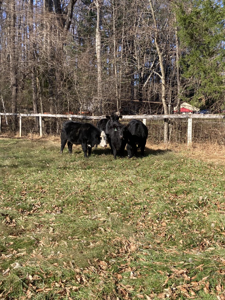 John W Shiflett tweet media