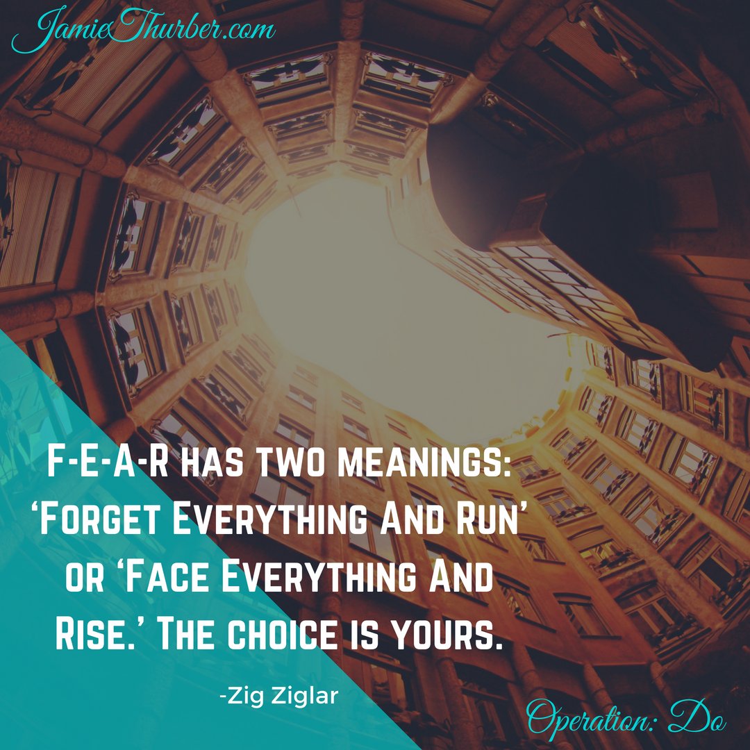 JamieThurber_'s tweet photo. Let's face everything and rise. We can do it together. More here:  https://t.co/zl8rkyeo3r https://t.co/liUcVPFn8I