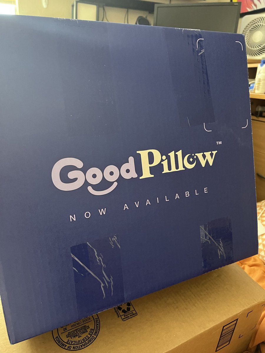 SO EXCITED to try my new <a href="/GoodPillowCo/">GoodPillowCo</a>! I’m just gonna sleep all the time now to avoid harsh reality! Thank you <a href="/williamlegate/">LeGate</a> you’re the man! And fuck #MyPillow.
