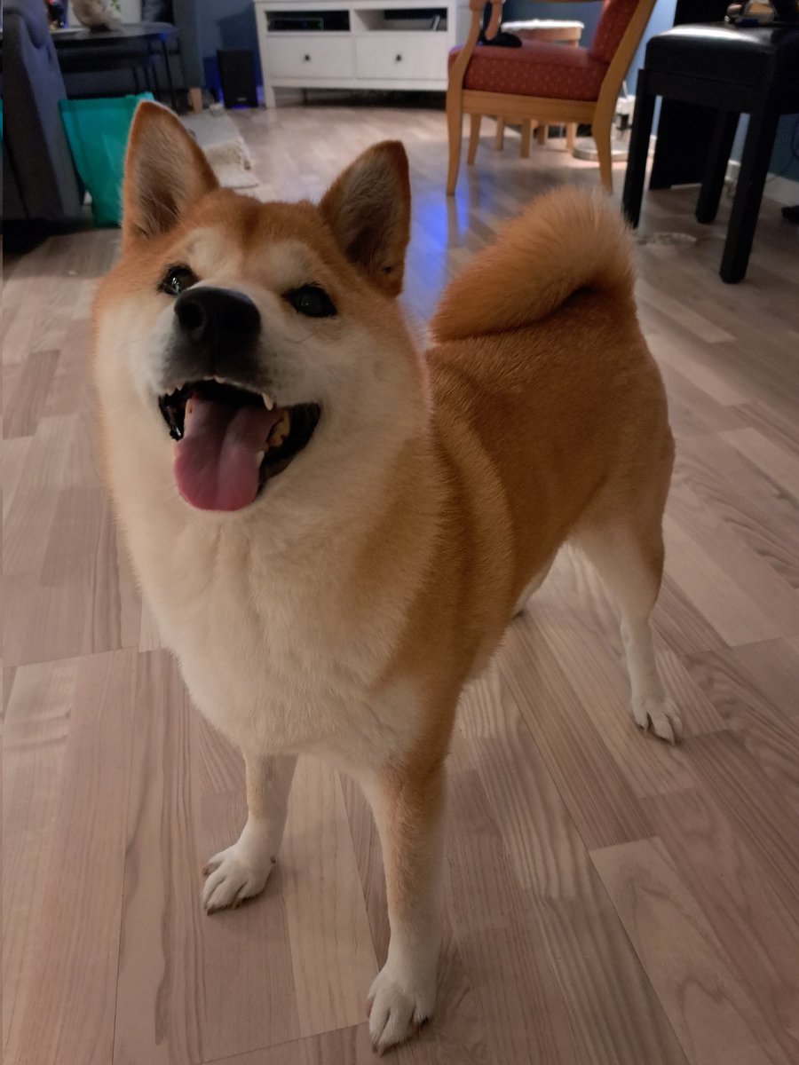 KaidaWrath tweet media