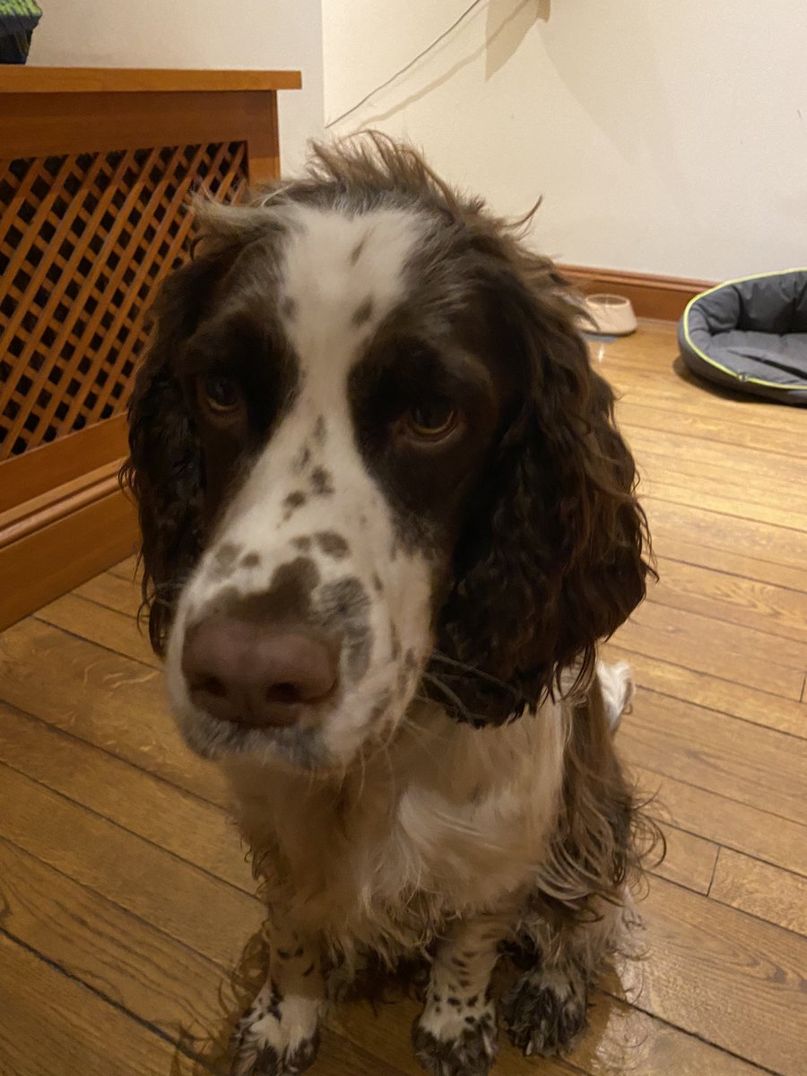 Mick Steiner tweet media