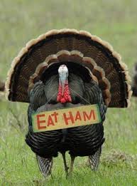 Saga_Says's tweet photo. #IfTurkeysCouldTweet Eat Ham https://t.co/knyMqXdS18