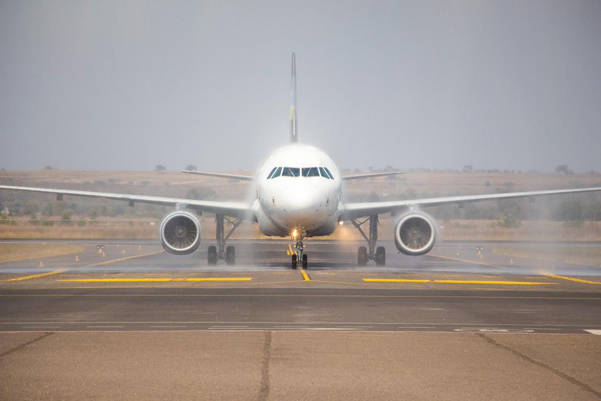 Michoacán tweet media