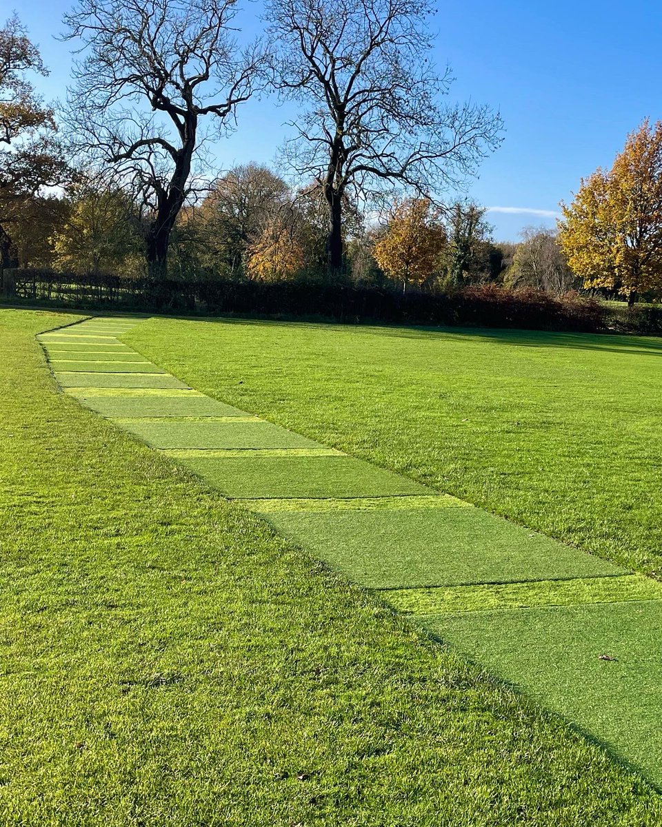 Matthew Gillingham tweet media