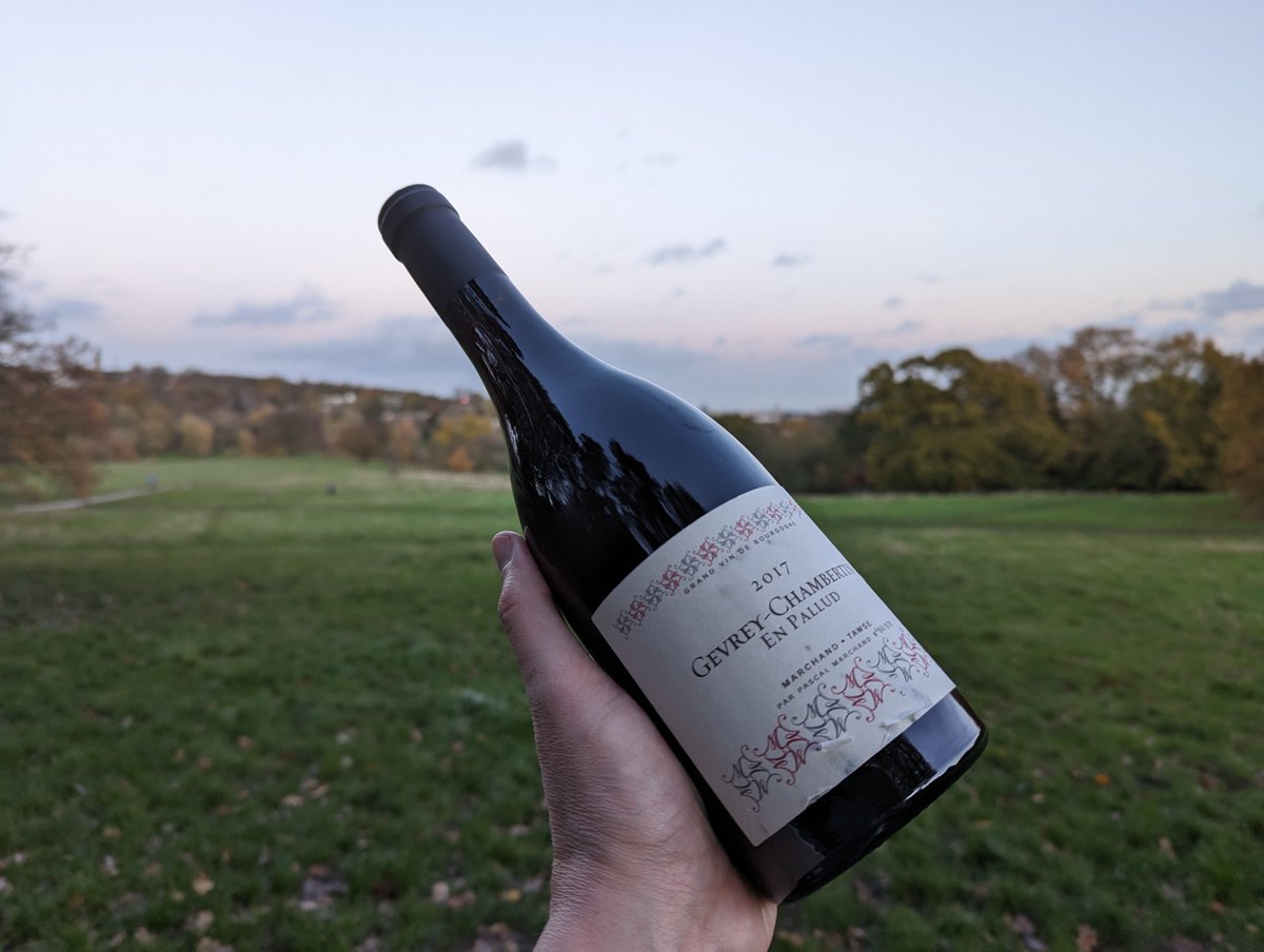 2017 Gevrey Chambertin "En Pallud" from Marchand Tawse. I liked this, quite soft, fine tannins, nice structure. Nose took a little while to open up but eventually some sweet floral/perfume notes. Very drinkable.