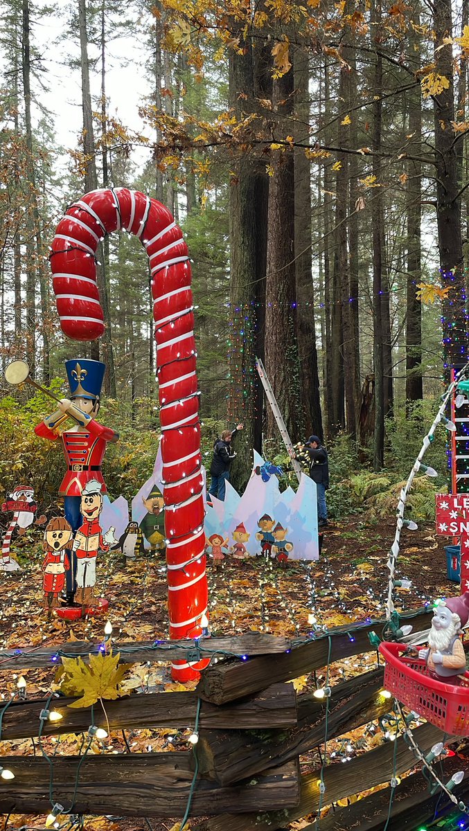 Bright Nights begins December 1 at Stanley Park. Bring the family by for some hot chocolate, churros, and dazzling light displays! All proceeds go to @bcburnfund.  vancouver.ca/parks-recreati…