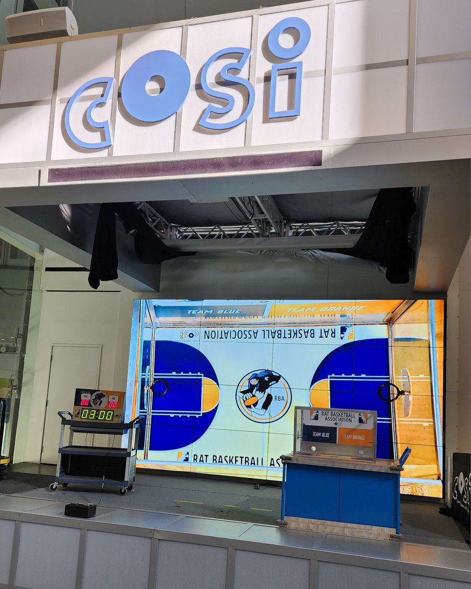 Getting ready for some..... Rat basketball?