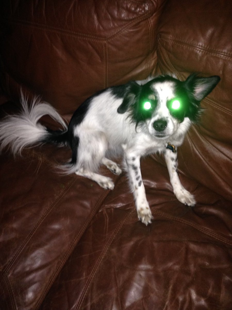 Christopher Reinhardt tweet media