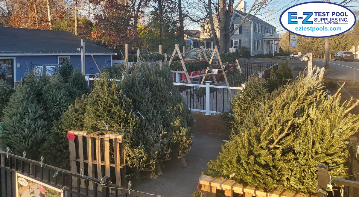 We are decking the halls with kissing balls, wreaths, and trees! #HappyHolidays 🎄❄️