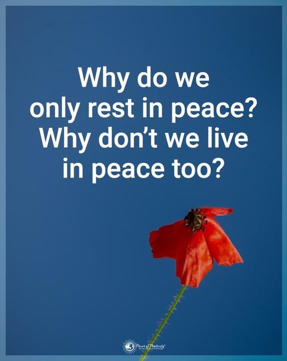 SoldiersWhisper's tweet photo. Let’s live in peace! #Peace #Wednesday https://t.co/auceDvUxov