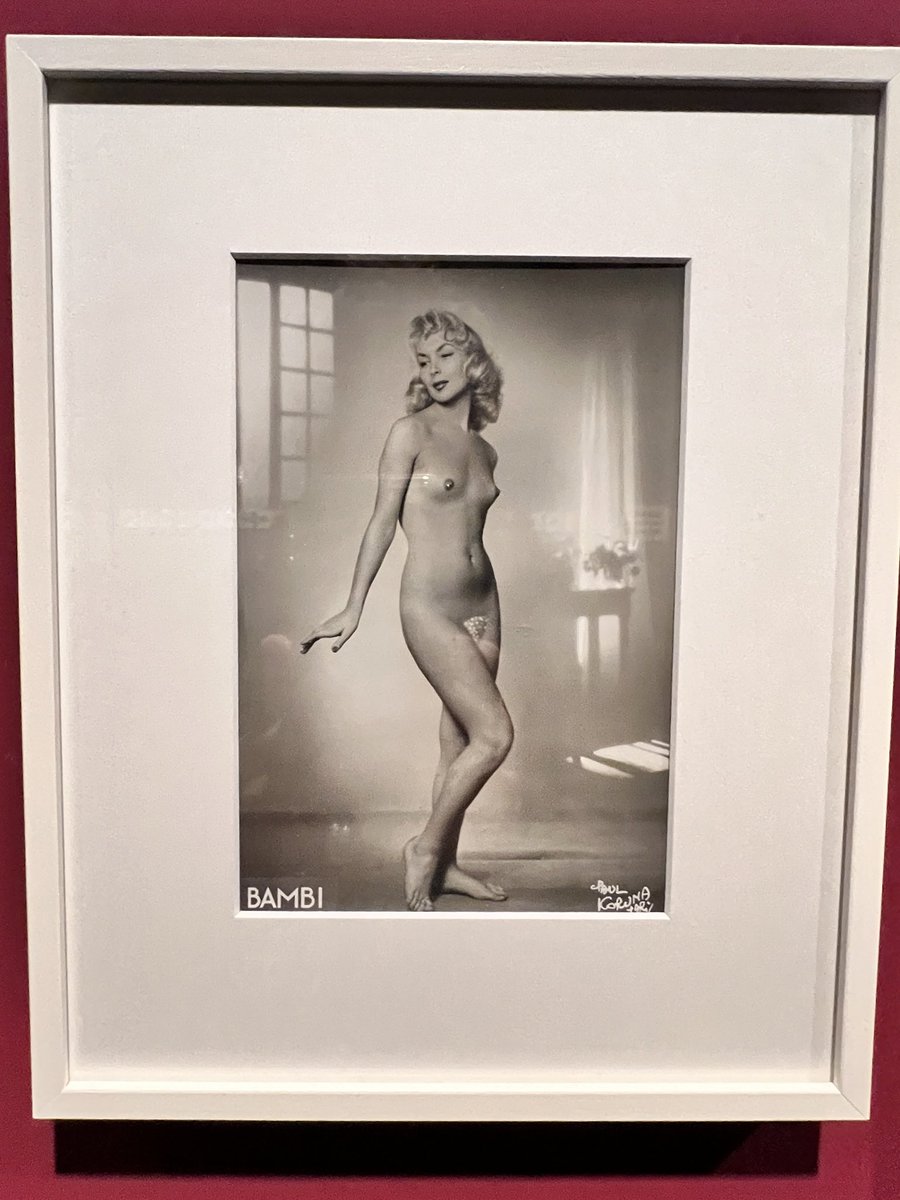 MCJorquera's tweet photo. Bambi, Marie Pierre Pruvot, el gran viaje de la vida de una mujer valerosa fuerte y admirable. #queernessinphotography #COBerlin https://t.co/JeB5jrTS0R