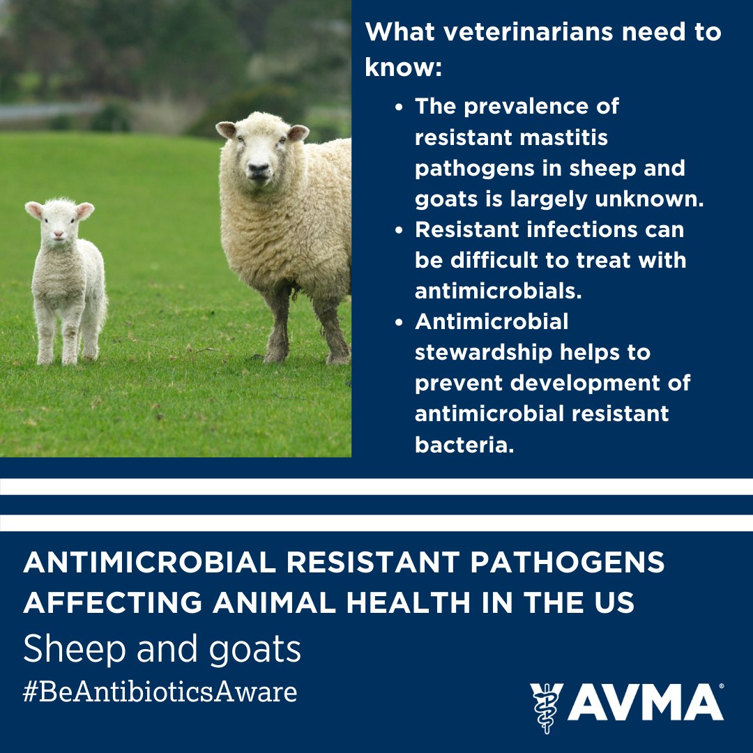 Tweet by AVMA (American Veterinary Medical Association)
