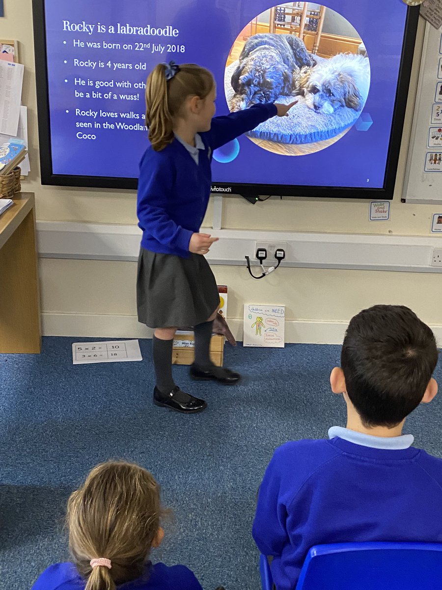 TarvinPrimary's tweet photo. King-Smith class loved hearing all about the lovely Rocky today. What a fantastic assembly and what a star Rocky was! #speakingandlistening #pets #cute #classassemblies https://t.co/4wztFUNyWS