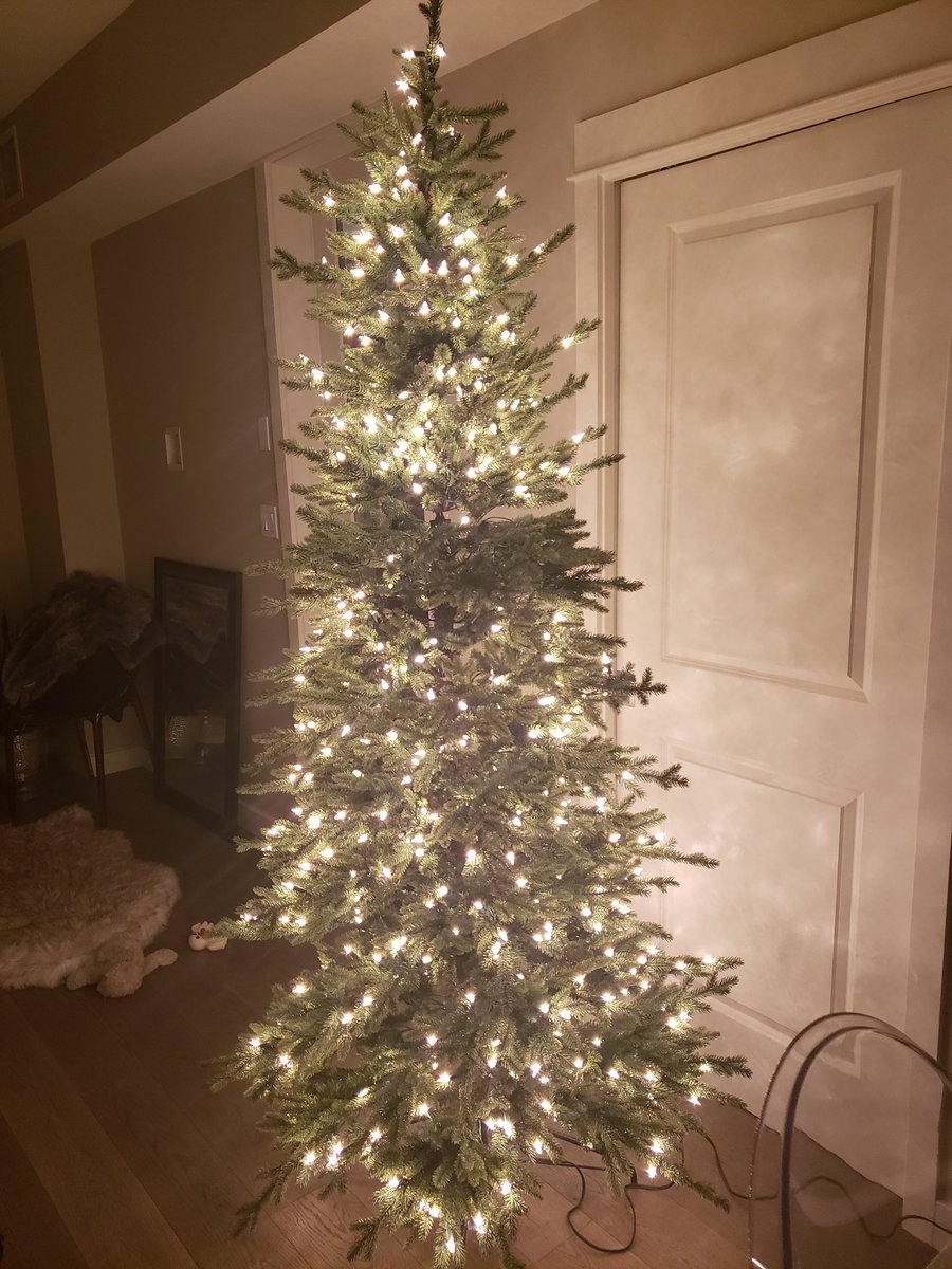 MSRISHAD's tweet photo. @macharman @WGRZ @holidayvalley @HoliMont Have a @balsamhill tree w full row of lights burned out. Customer service said nothing they can do for me, not under warranty. Throw out an $800 tree?! Landfill?! Won't sell me a new part to replace?! I can't afford a new tree, lost my job during COVID. PLEASE HELP! God Bless 🙏 https://t.co/FeCbggWvcu