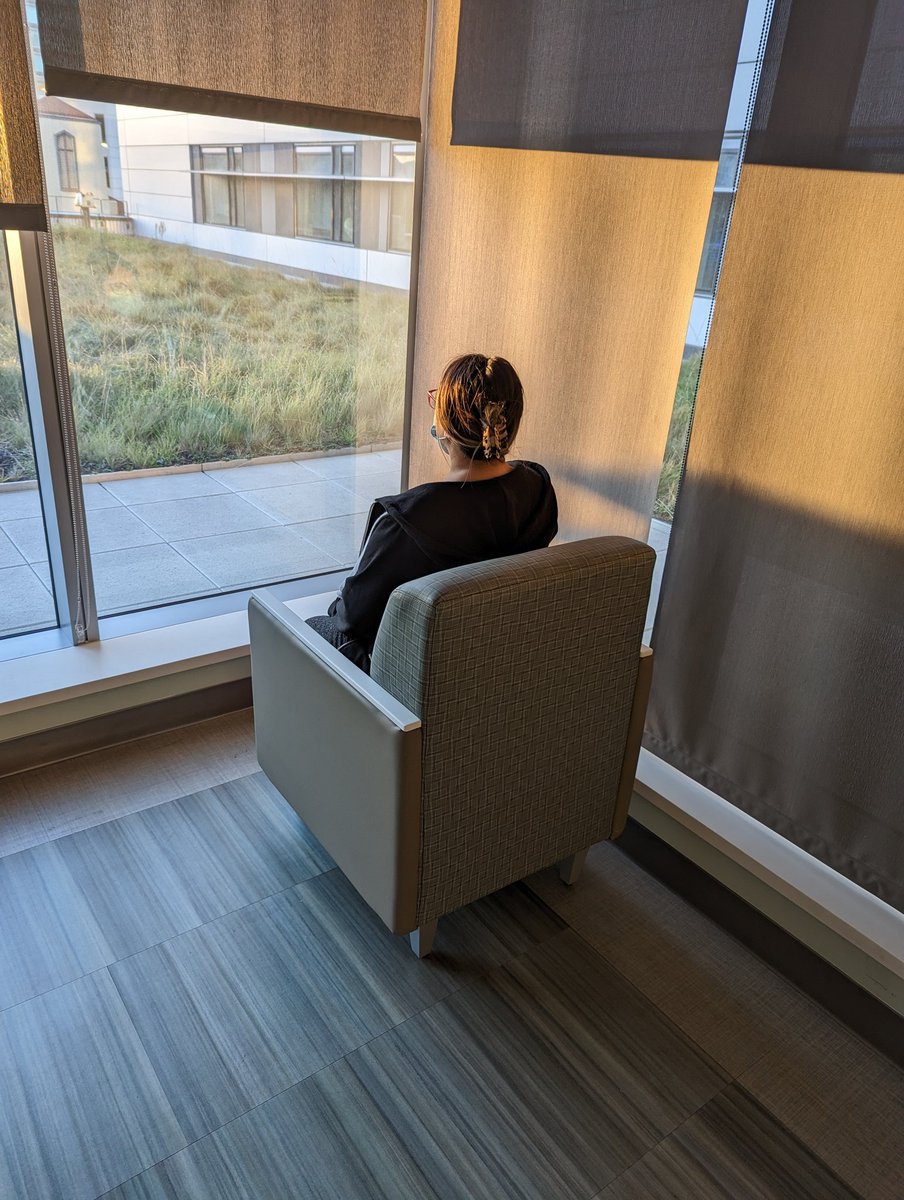 Checking out the view.