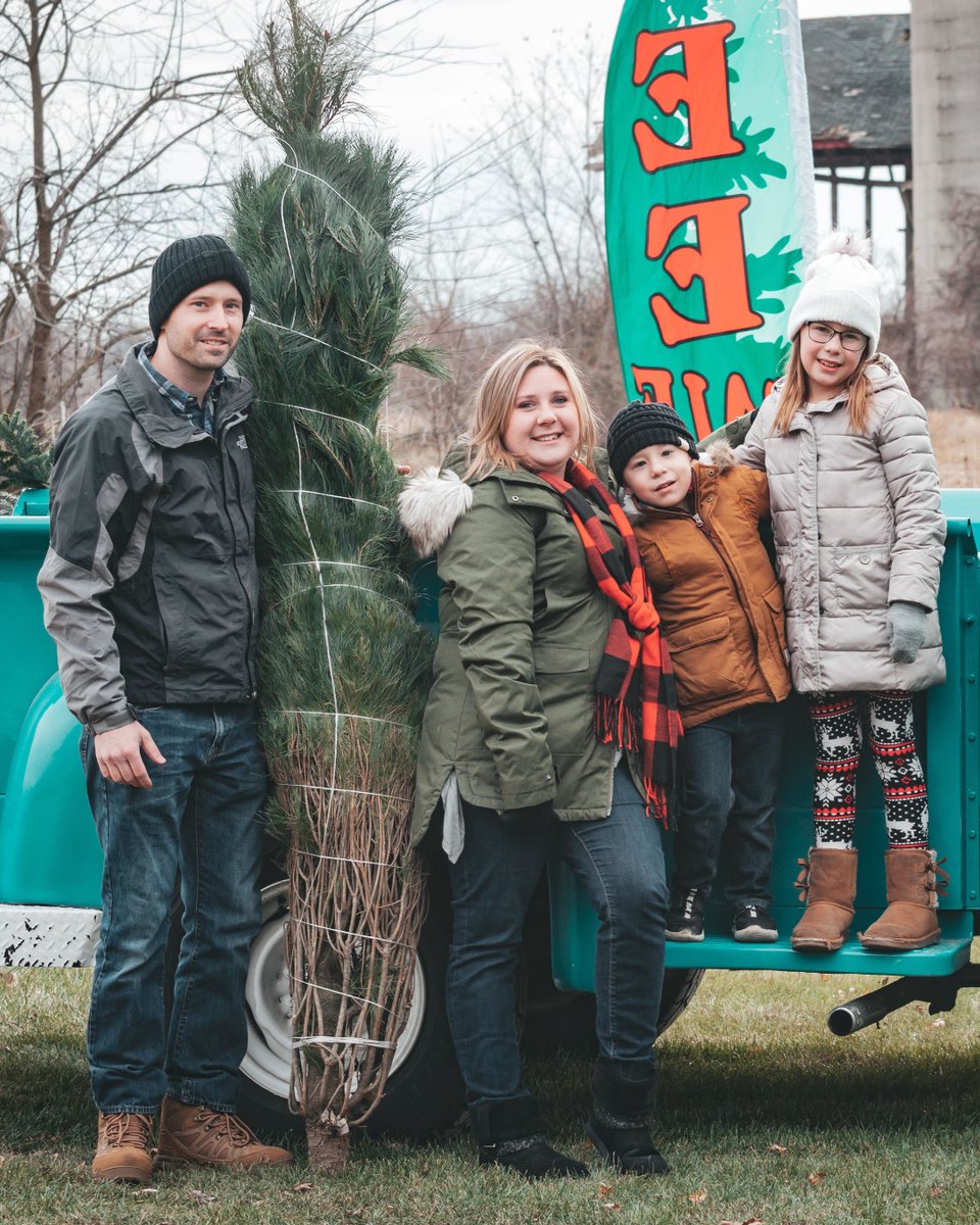 Christmas Tree season starts on Friday! Are you getting your tree up right away? Or do you wait until closer to Christmas? If you're looking for a freshly cut tree for the centerpiece of your holiday decor, check out Conifera Tree Farm in Harvard, IL. bit.ly/3gjbgc0