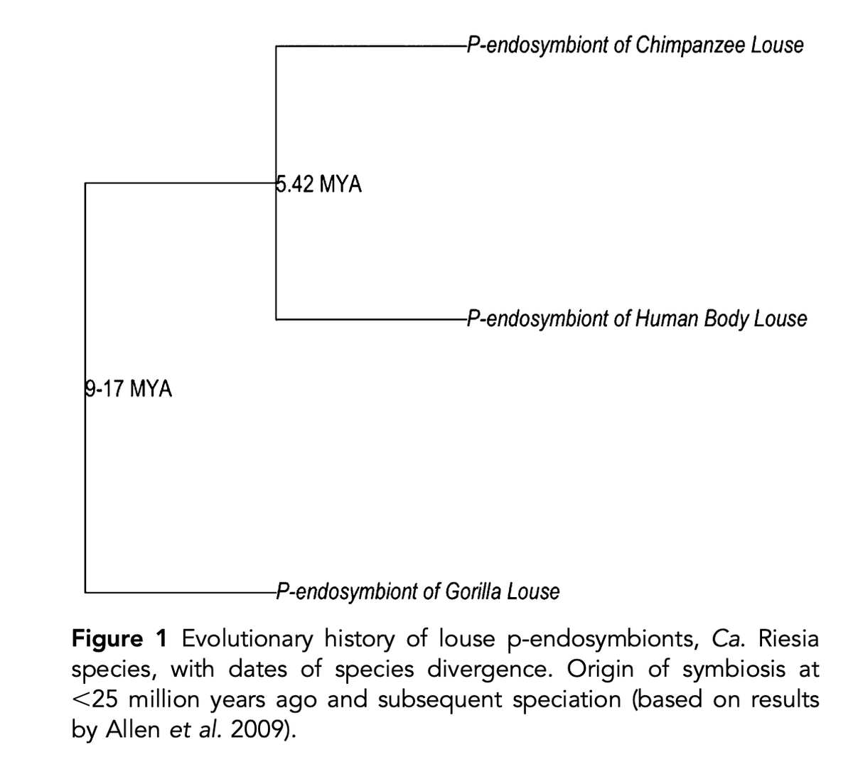 theosanderson's tweet photo. Fact of the day: you can reconstruct human evolutionary history from the genome sequences of bacteria that live symbiotically in the abdomen of our body lice (and those of gorillas and chimpanzees).

https://t.co/1Ztd9AFs6L https://t.co/5E1p2WYQ55