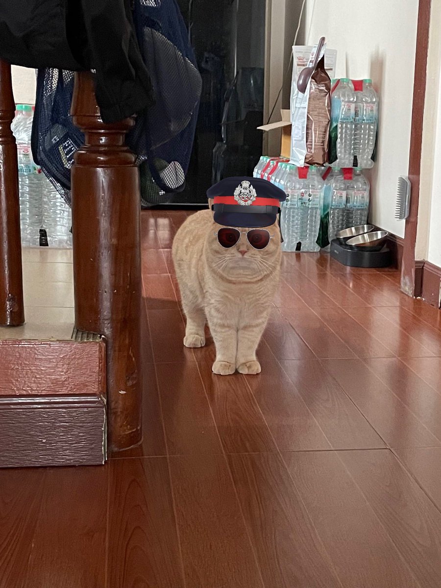 มะอิ้น˙𐃷˙ tweet media