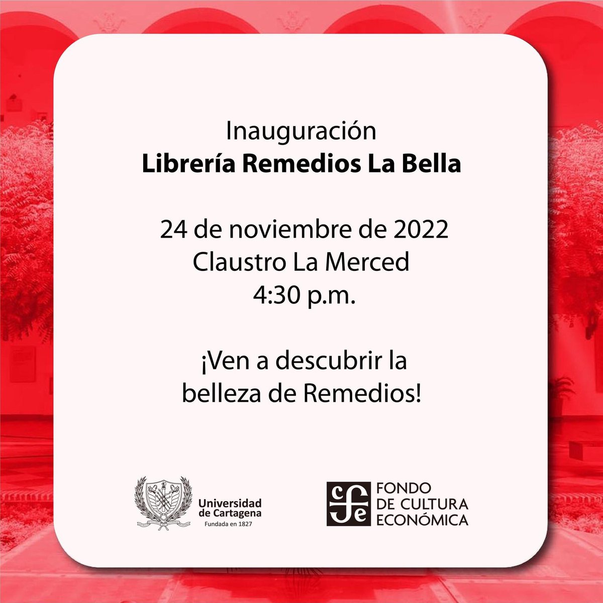 uni_cartagena's tweet photo. Desde este jueves, 24 de noviembre, te esperamos en la Librería de Remedios La Bella del Fondo de Cultura Económica - Colombia  a partir de las 4:30 p.m.  en el Claustro La Merced.📚🤩 https://t.co/LINN4oT3we