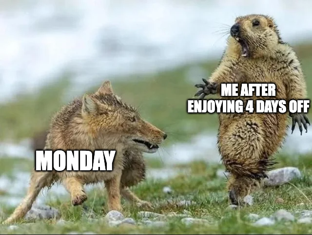 MorningBrew's tweet photo. hoped it would go on forever https://t.co/Mi4B83kLNK