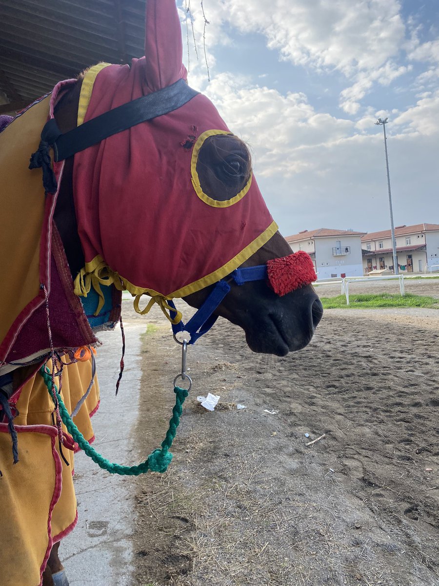 Baboş Yarış Bekliyor 😘 #Caymazınoğlu