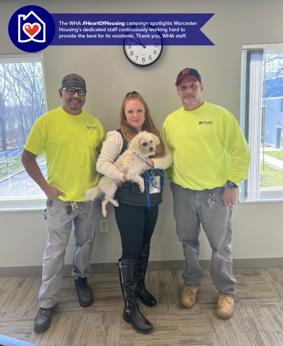 WHAuthority's tweet photo. Maintenance Techs spot a pup on Plantation Str. this morning 🐶✨#WHA's #1 animal rescuer &amp; adoption advocate, Tiffany Shliapa, contacted the appropriate authorities &amp; had the pup reunited with his family in no time.
#worcesterhousing #worcesterma #LifeAtWHA #HeartOfHousing https://t.co/AwMcwWj4mo