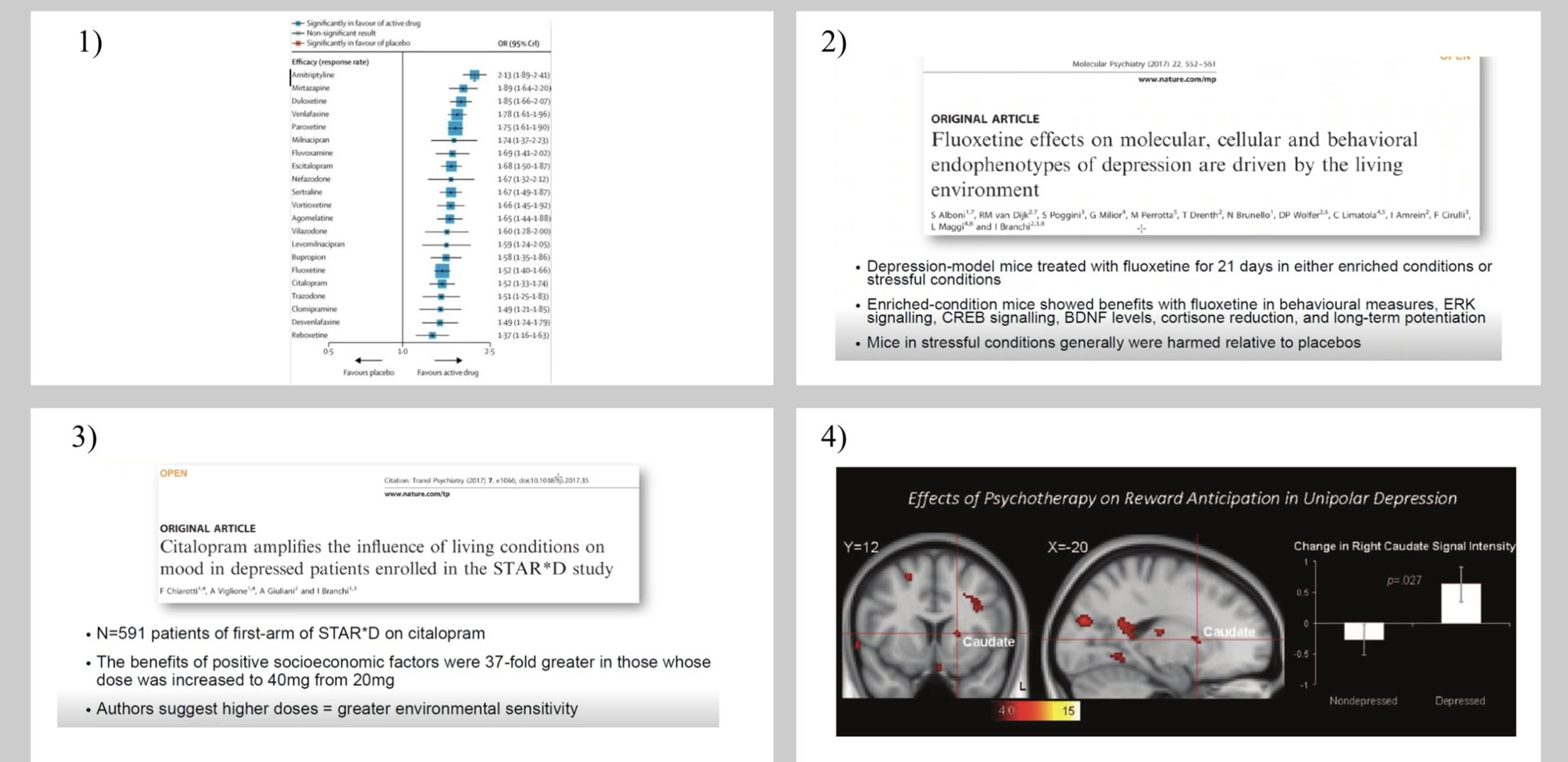 Tommaso Barba on Twitter "(1/9) “What do common antidepressants really