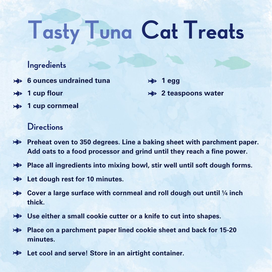 NC State Vet Medicine On Twitter WE RE THANKFUL FOR YOU Today nc-state-vet-medicine-on-twitter-we-re-thankful-for-you-today