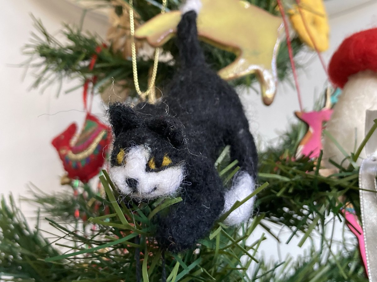 Corbett Community tweet media