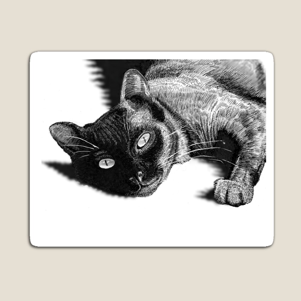 A pen and ink snuggly cat from Ty Meier. No matter how bad your day is…Your snuggly cat will always make you smile #RBandME:  redbubble.com/i/magnet/Snugg… #findyourthing #redbubble