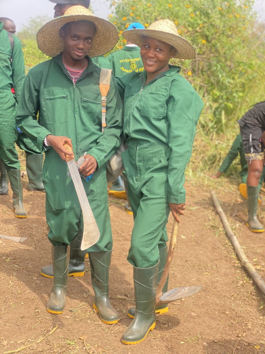 _MikkyDee's tweet photo. Young farmers at the Teaching and Research Farm OAU #Internshipstudents #IfeAgric 
@TheGreatestIFE @ekundayo_dami1 @akinalabi https://t.co/AJ4L72fTQW
