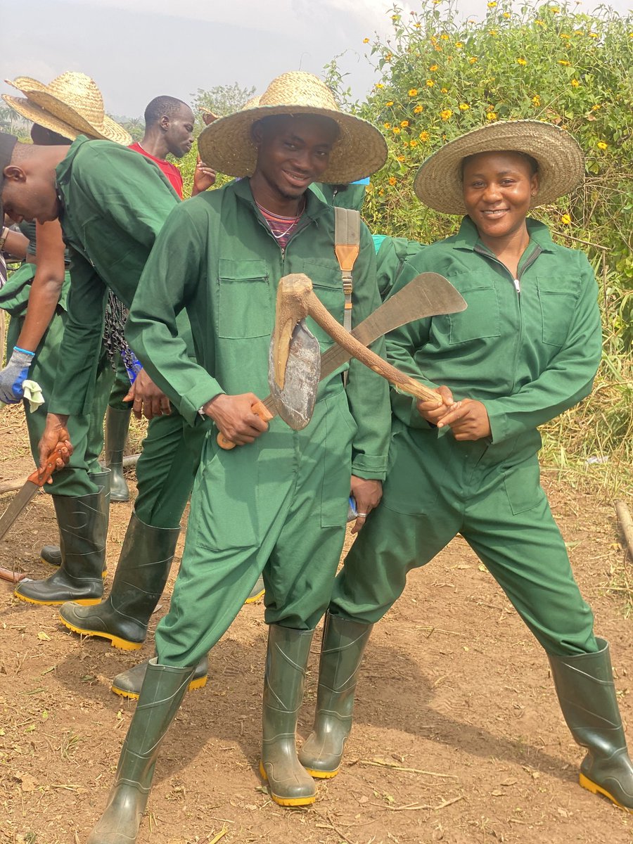 _MikkyDee's tweet photo. Young farmers at the Teaching and Research Farm OAU #Internshipstudents #IfeAgric 
@TheGreatestIFE @ekundayo_dami1 @akinalabi https://t.co/AJ4L72fTQW