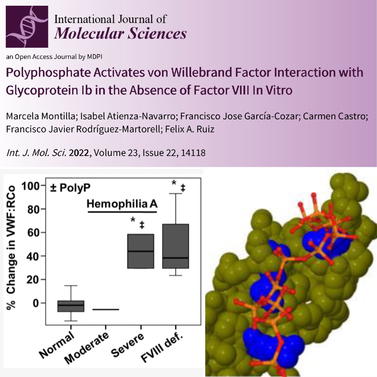 FelixARuiz1's tweet photo. 🥳 Other paper accepted from our group (@univcadiz @INiBICA_IIS @HUPMCadiz) in collaboration with hematologists at @HematoHUVR
We explored the regulation of #vWF #FVIII by #polyphosphate (#polyP)
#blood #polyphosphates #hemophilia #vonWillebrand
https://t.co/ai4LN0cS37 https://t.co/IlccMBTl2d