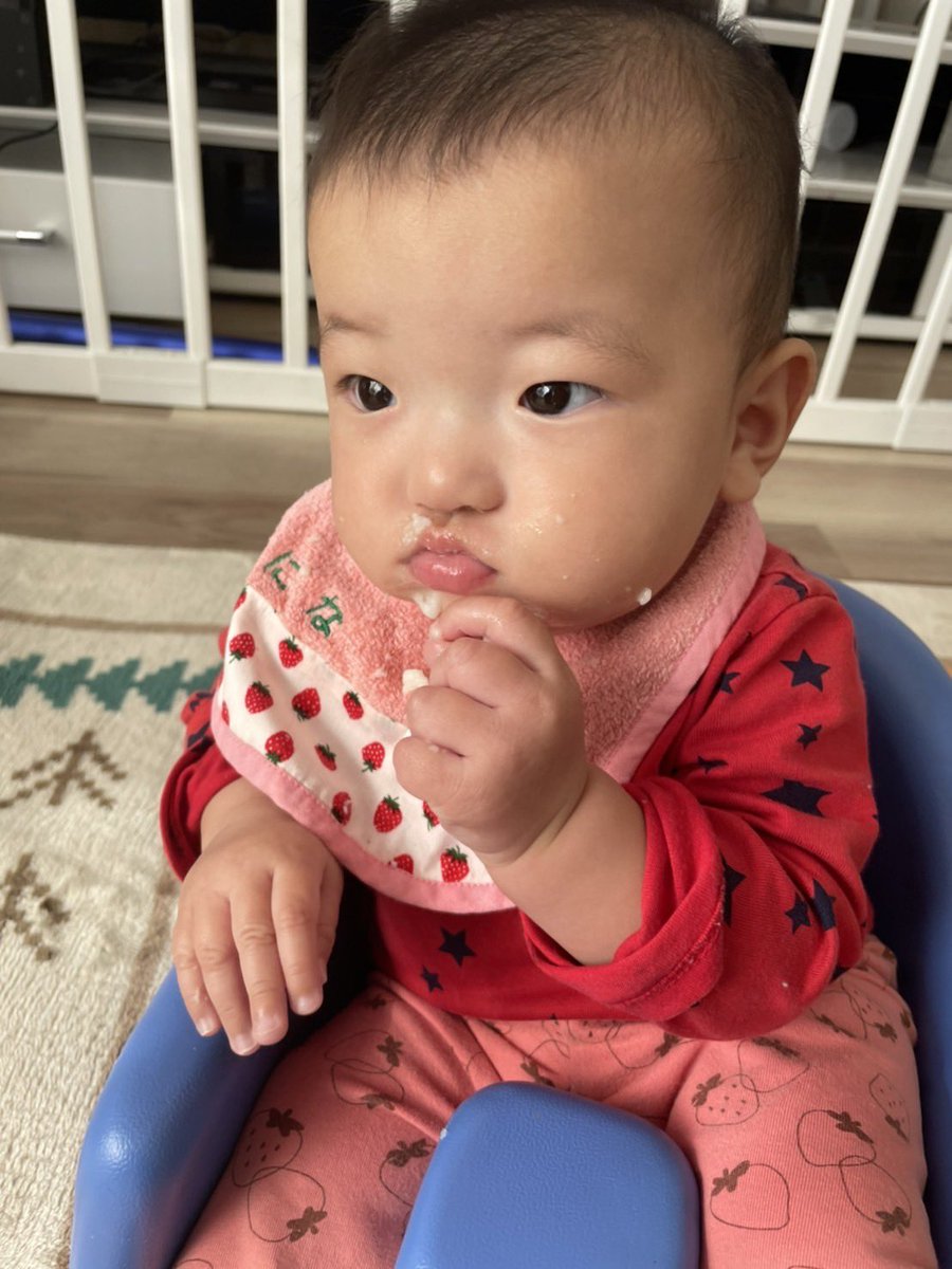 toki_tokidoki's tweet photo. 可愛いやつらどうぞ https://t.co/XJn0d3R1pp