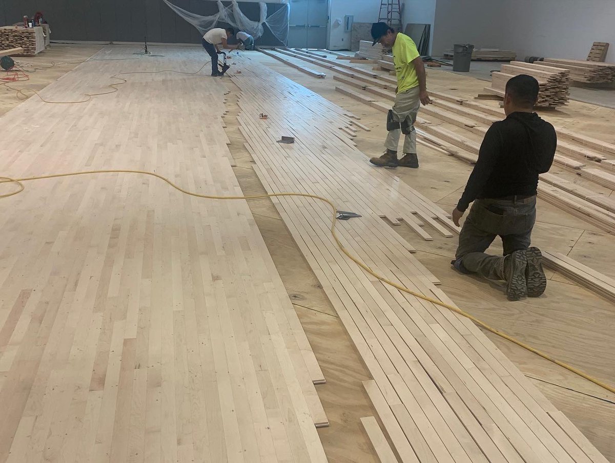 SCSbyFlooraction tweet media