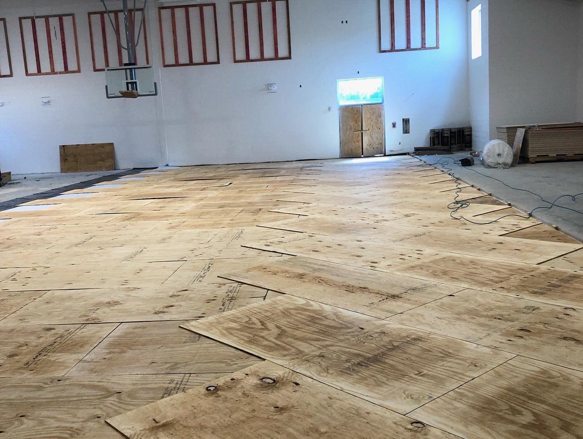 SCSbyFlooraction tweet media