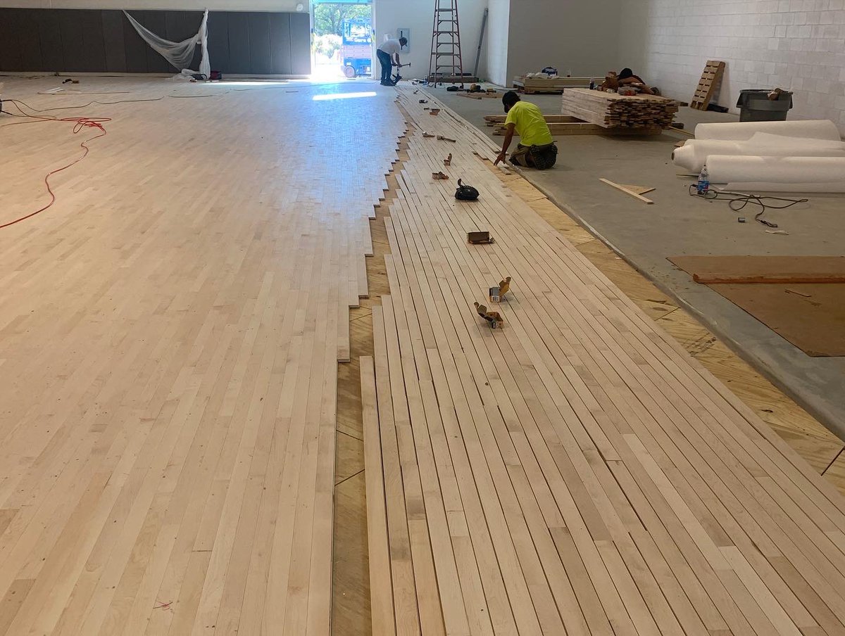 SCSbyFlooraction tweet media