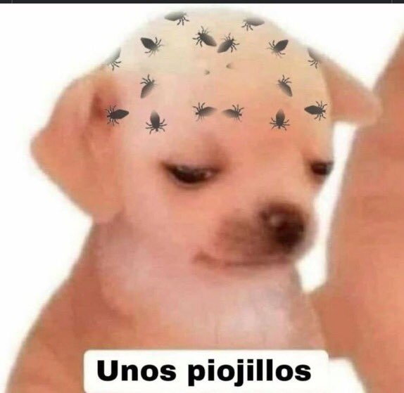 SenoritaConNepe's tweet photo. - ¿Y por qué regresaste triste del Corona?
-
#TweetOriginal #MemeDelDia #CoronaCapital #CoronaDeLagrimas2 https://t.co/d5ZfAhP9JC