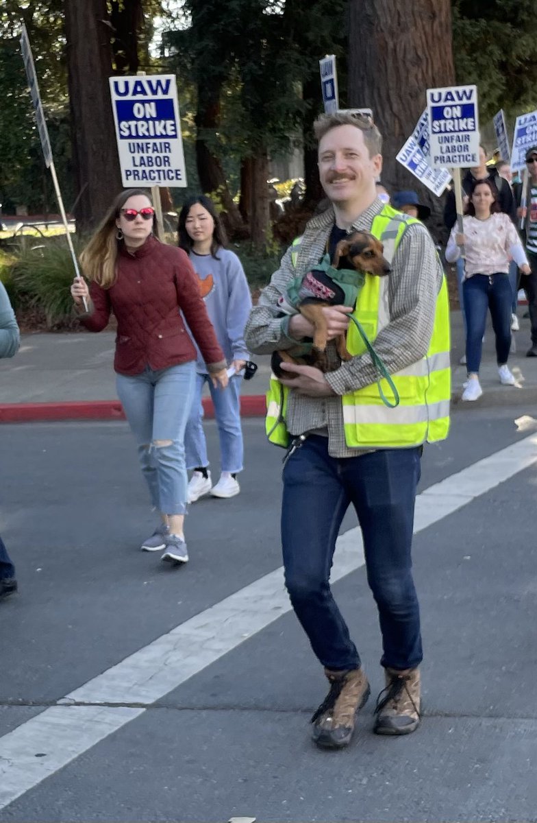 BenGoldmanH's tweet photo. Sausage Doggo says worker’s rights! https://t.co/Y0Jq2y8E3n