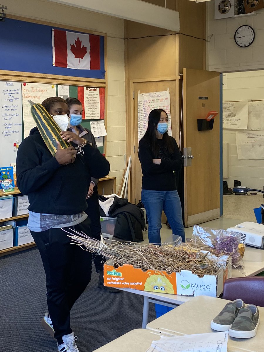 HabermellM's tweet photo. Three Valleys Junior students are saving vegetable seeds for sustainable planting in the spring.  Thank you Anelia, Melodie, and Alyson from our neighbouring Urban Farm for the opportunity and your expertise! https://t.co/9R2ZCFQyQs