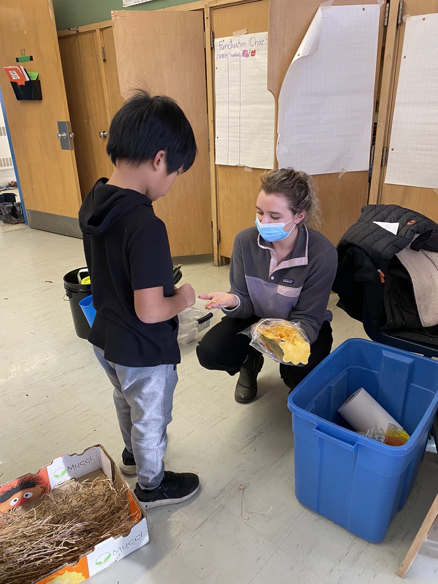 HabermellM's tweet photo. Three Valleys Junior students are saving vegetable seeds for sustainable planting in the spring.  Thank you Anelia, Melodie, and Alyson from our neighbouring Urban Farm for the opportunity and your expertise! https://t.co/9R2ZCFQyQs
