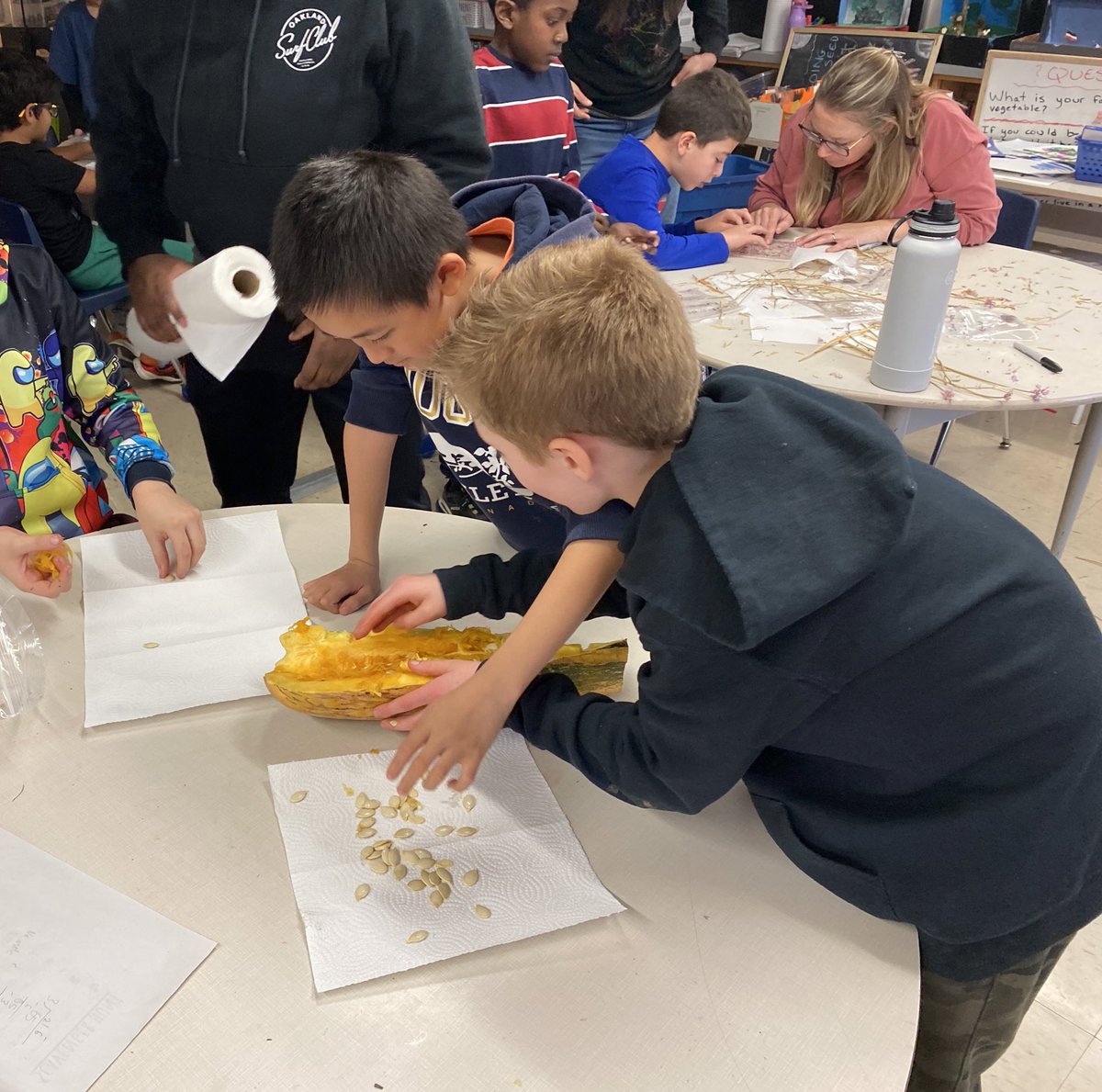 HabermellM's tweet photo. Three Valleys Junior students are saving vegetable seeds for sustainable planting in the spring.  Thank you Anelia, Melodie, and Alyson from our neighbouring Urban Farm for the opportunity and your expertise! https://t.co/9R2ZCFQyQs