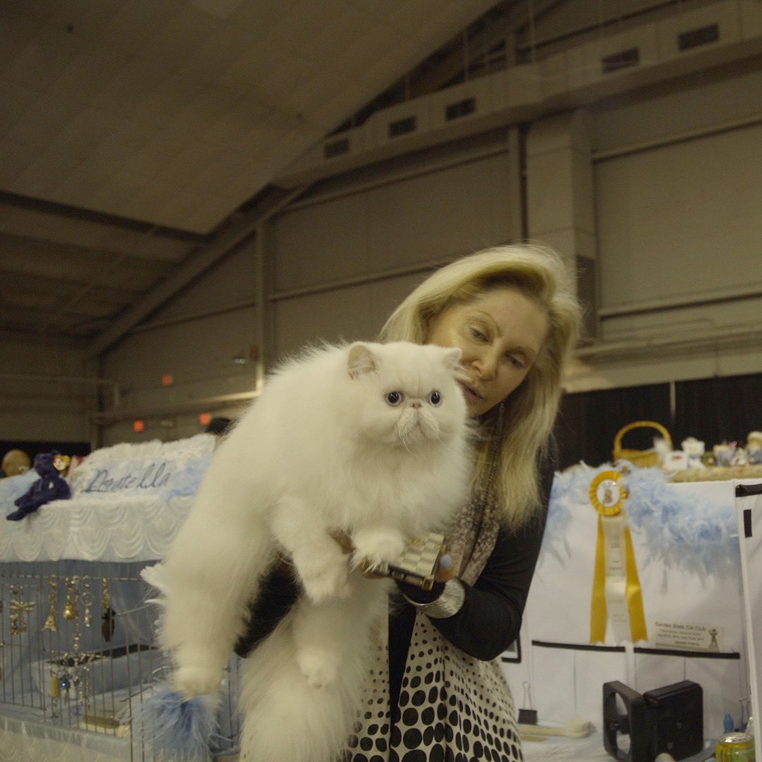 Can we have a moment for Donatella!? 😻  #Catwalk2