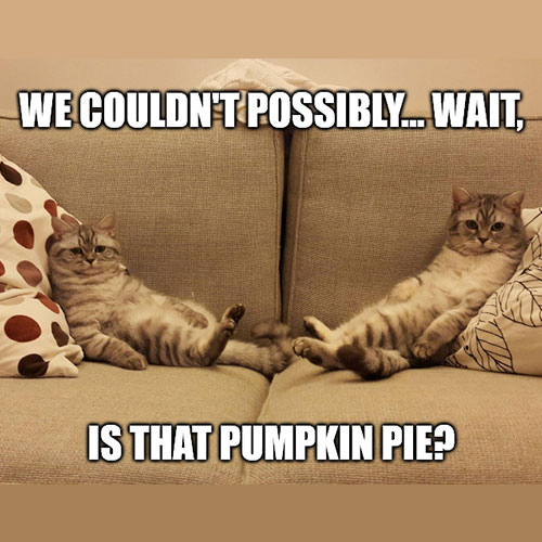 Capitol Aluminum & Glass Corp. tweet media