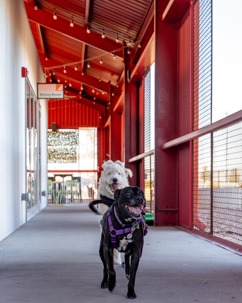 The House tweet media