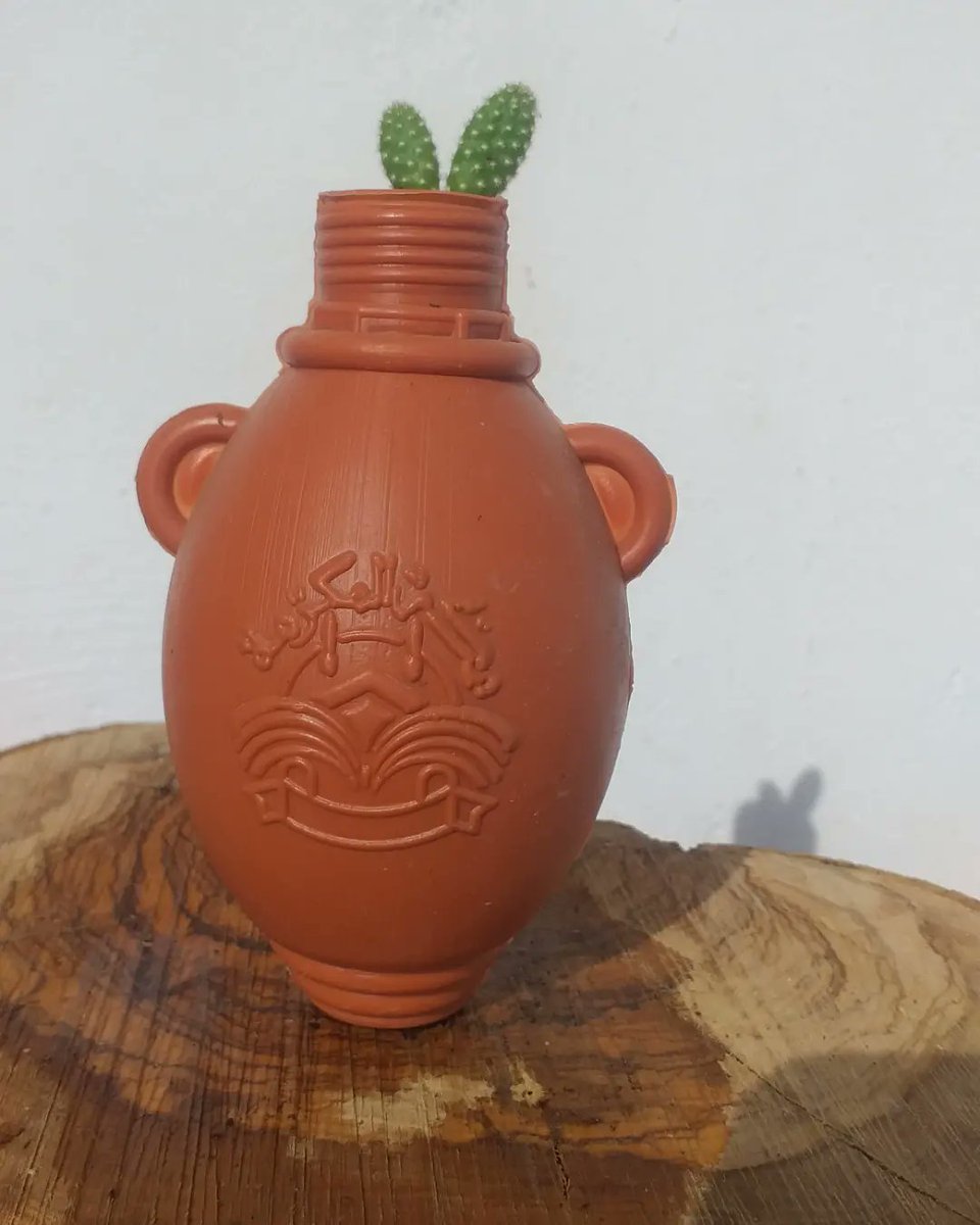 plantes chez pep tweet media