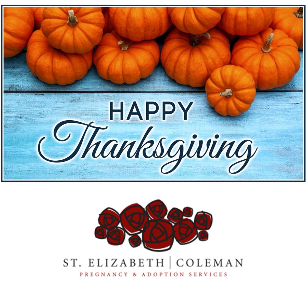 The St. Elizabeth | Coleman team wishes all our birthmoms, adoptees, adoptive families, donors, volunteers and supporters a wonderful THANKSGIVING holiday.  We appreciate and are grateful for each one of you!
