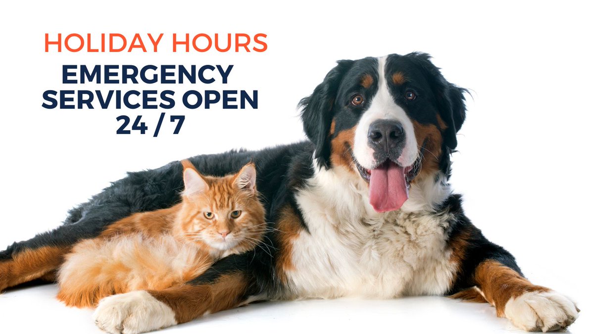 Tweet by UI Vet Hospital