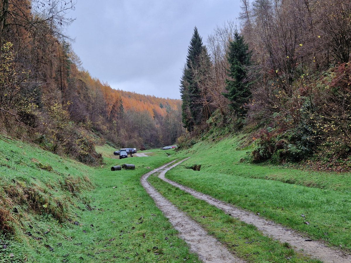 sidbart's tweet image. Late autumn colours near Rievaulx Abbey, North Yorkshire