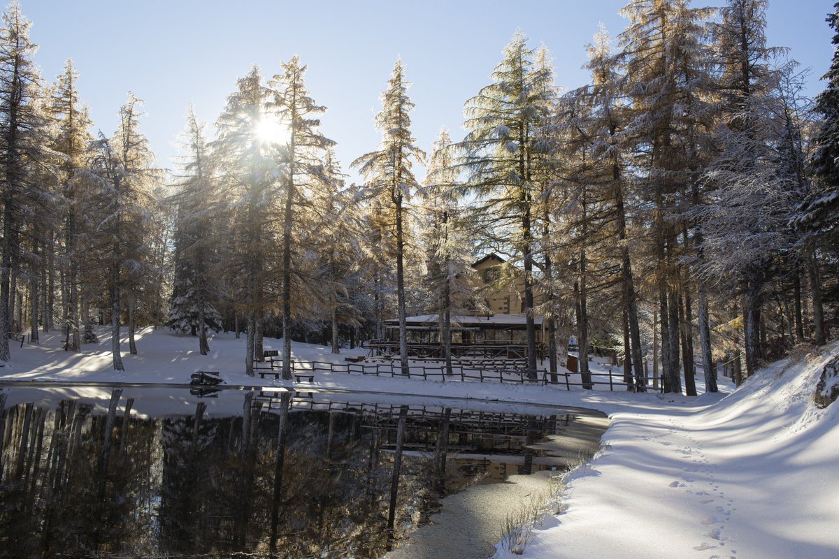 HotelTirolo's tweet photo. La neve sui larici del Lago della Ninfa, ai piedi del Monte Cimone!

È arrivato l'inverno e come sempre è una grande emozione <3 

@turismoER #sestola #cimone https://t.co/TibOctzHFV